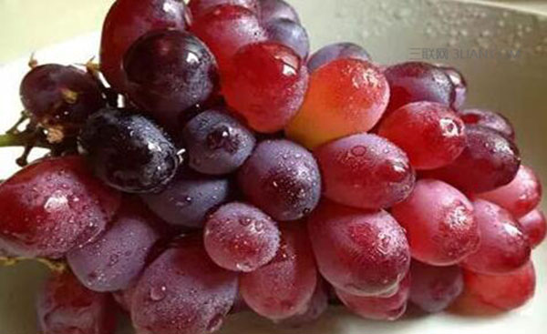 �����ϻ��� ��������ʲô�ô�